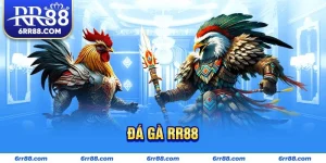 Đá Gà RR88