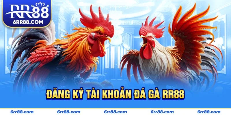 Đăng ký tài khoản Đá Gà RR88