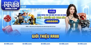 Giới Thiệu RR88