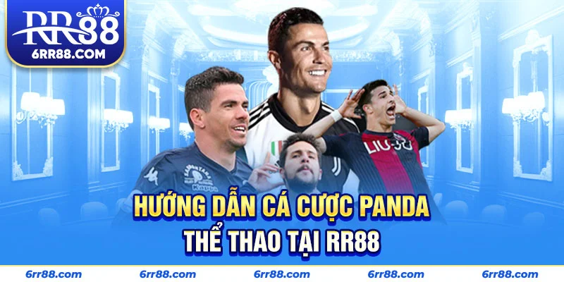 Hướng dẫn cá cược Panda Thể Thao tại RR88