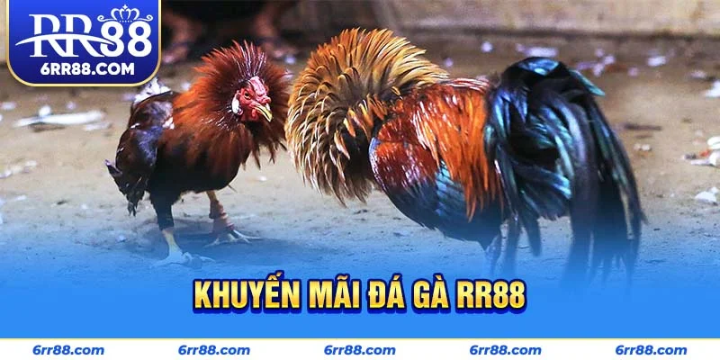 Khuyến mãi Đá Gà RR88