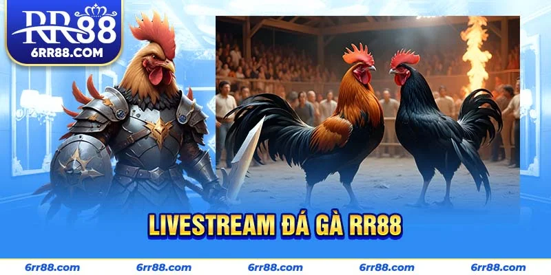 Livestream Đá Gà RR88