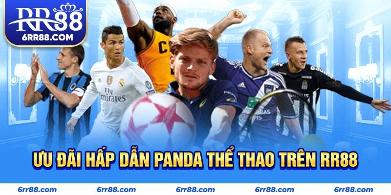 Ưu đãi hấp dẫn Panda Thể Thao trên RR88